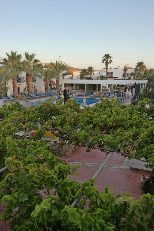 Dilek Apart Hotel Gümbet Extérieur photo